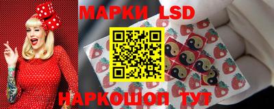 Альфа ПВП Кандалакша