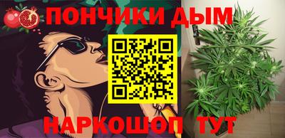 Альфа ПВП Кандалакша